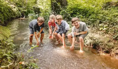Kinder erkunden gemeinsam einen Bach im Wald.